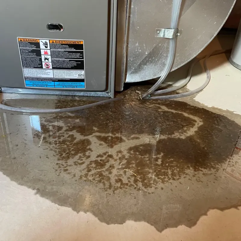 Appliance Leak Cleanup in Freeland, WA